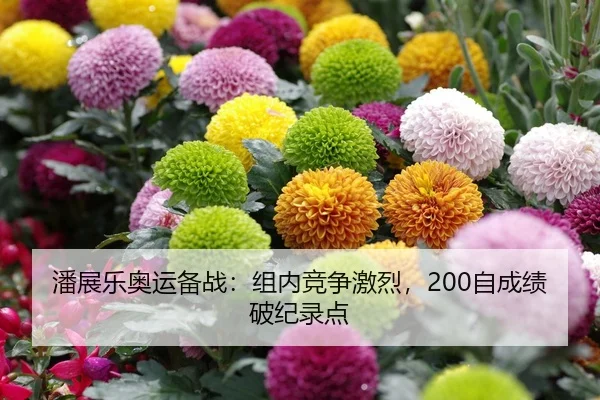 潘展乐奥运备战：组内竞争激烈，200自成绩破纪录点
