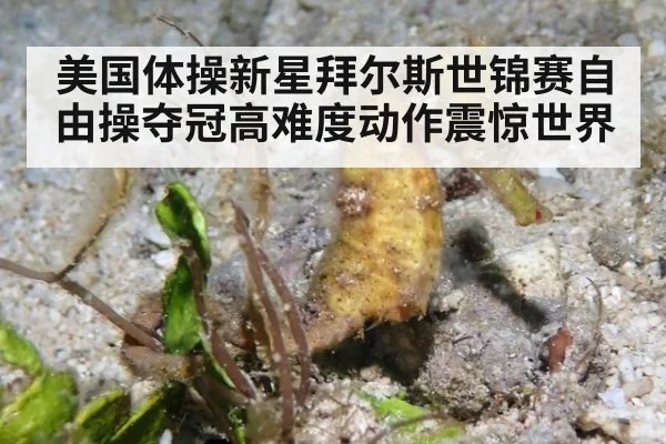 美国体操新星拜尔斯世锦赛自由操夺冠高难度动作震惊世界