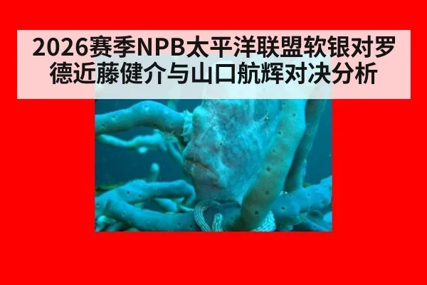 2026赛季NPB太平洋联盟软银对罗德近藤健介与山口航辉对决分析